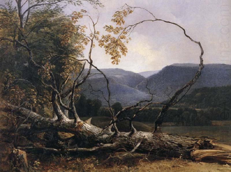 Asher Brown Durand Study from Nature,Stratton Notch,Vermont china oil painting image